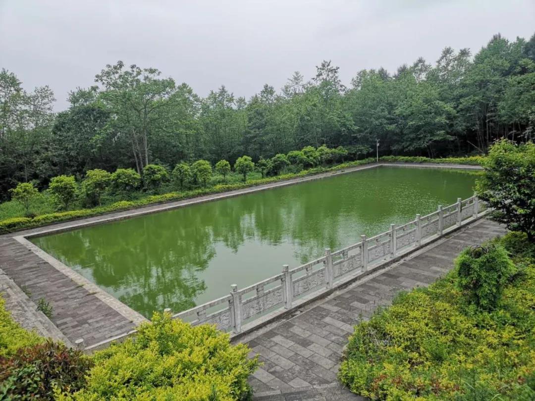 没做水处理系统的旧泳池荒废成臭水池? 没做水处理系统的旧泳池荒废成臭水池?