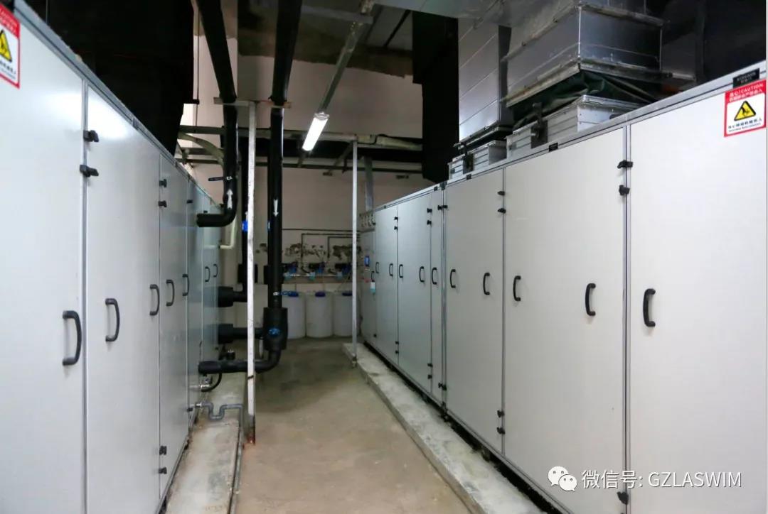 案例分享|复旦大学首座室内游泳池 案例分享|复旦大学首座室内游泳池