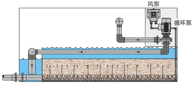 7200m³的造浪池,选择了这种更强大的过滤方式 7200m³的造浪池,选择了这种更强大的过滤方式