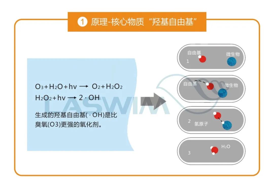 羟基自由基 羟基自由基