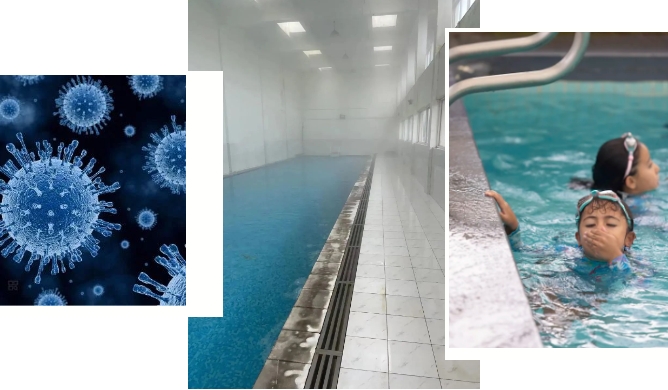 室内泳池 室内泳池