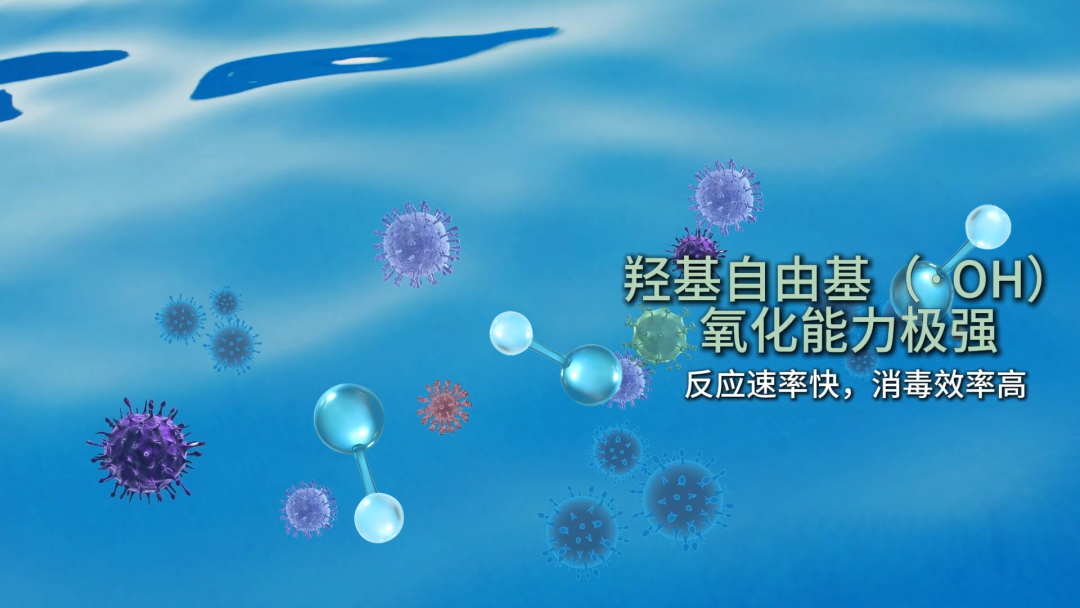 羟基自由基(·OH) 羟基自由基(·OH)