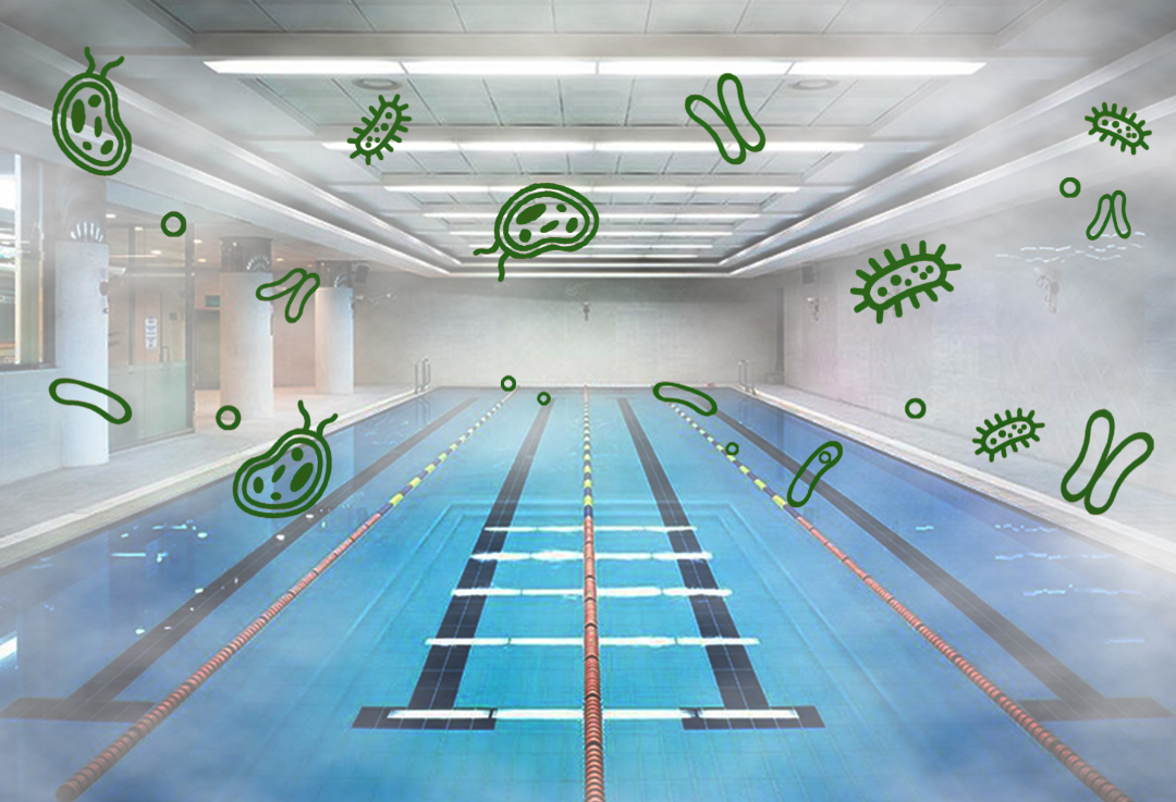 室内泳池 室内泳池